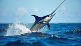 DEEPRUN CHARTERS — Premium Saltwater / Offshore Charter Website Template — DR hero marlin leap