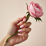 LACQUER & CO — Premium Nail Studio Website Template — LAC gallery 01 almond pink